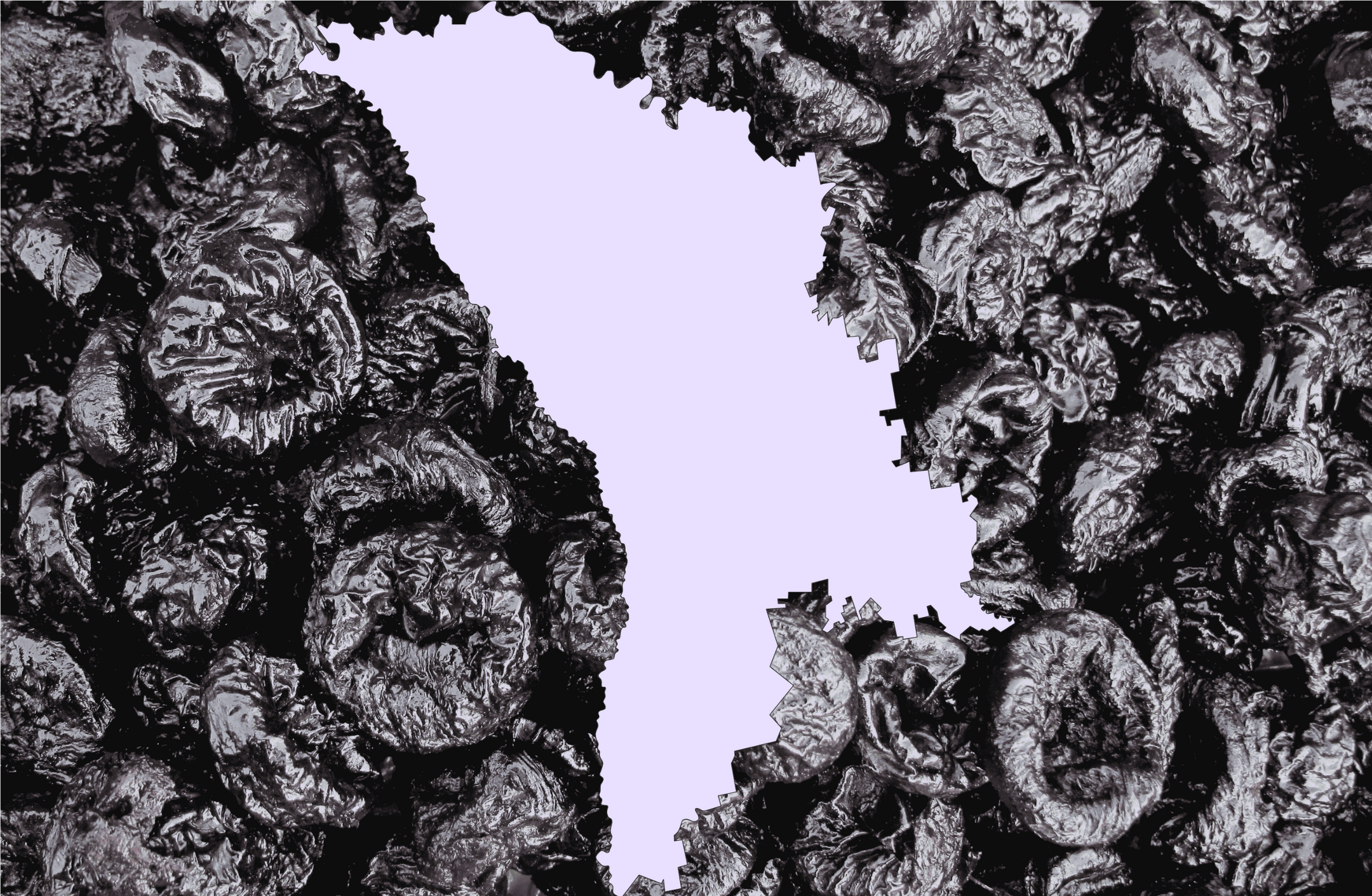 Чернослив из Молдовы – оптовые поставки для импортеров в Европу