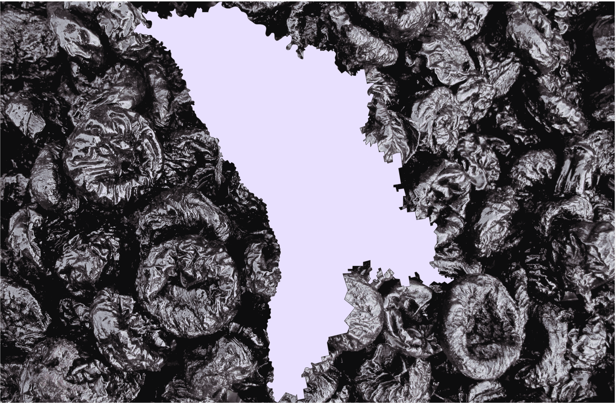 Prune uscate din Moldova – export en-gros pentru importatori din UE